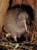 TeTuatahianui