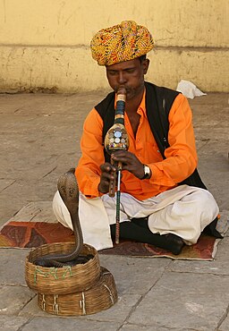JaipurSnakeCharmer20080213a