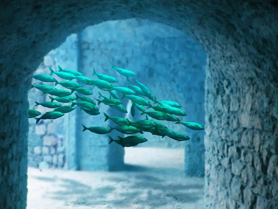 Atlantis Documentary (Atlantis Underwater)