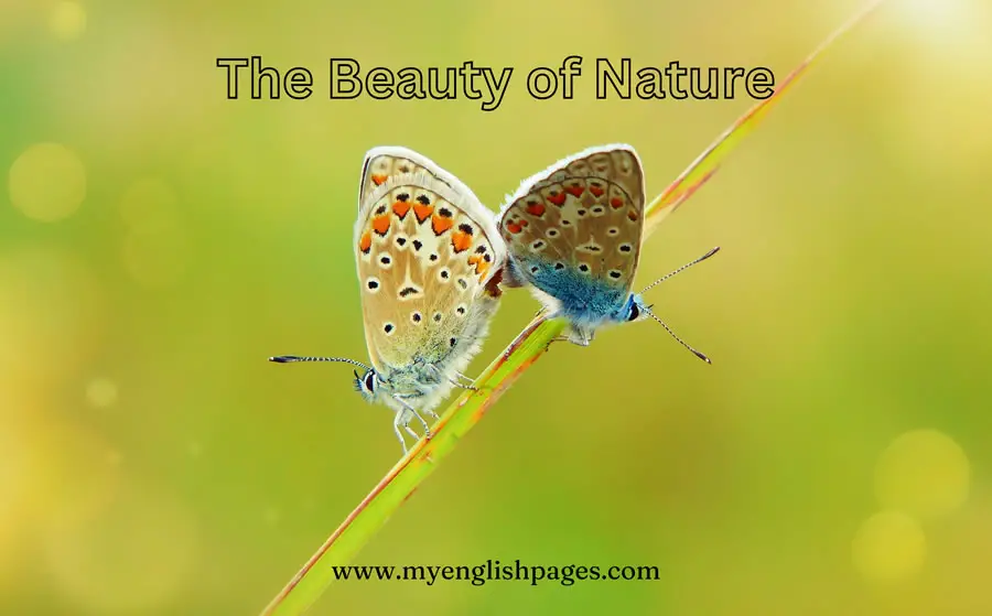 List of Nature Vocabulary Words