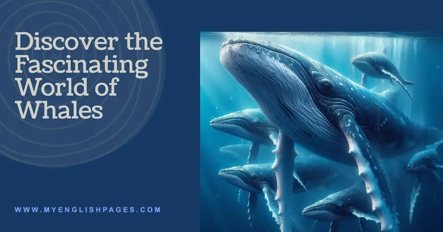 Classification of Whales