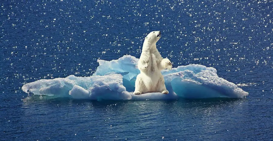 Reading Comprehension About Climate Change
