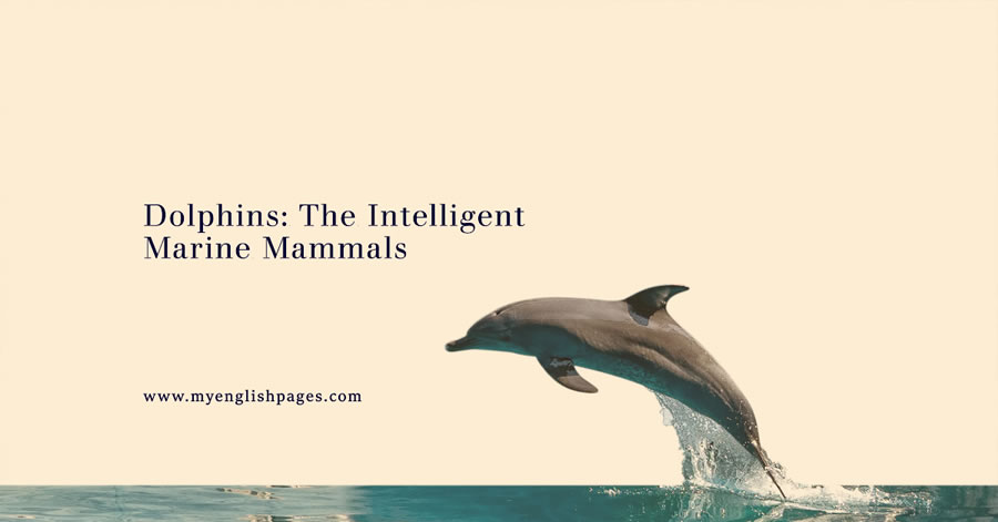 Dolphins: The Intelligent Marine Mammals (Reading Comprehension)