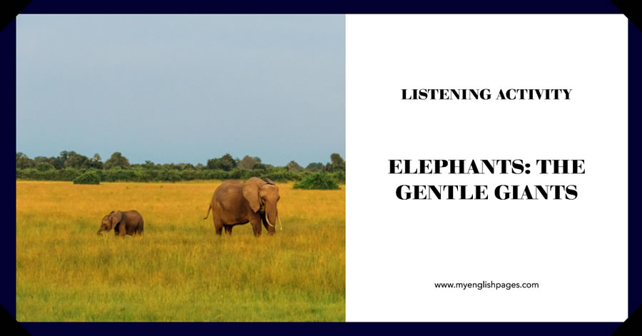 Listening comprehension on elephant - Elephant Documentary