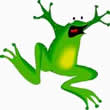 frog