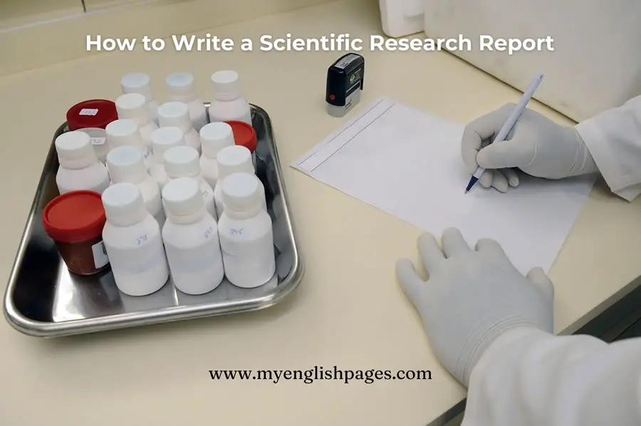 How to Write a Scientific Research Report