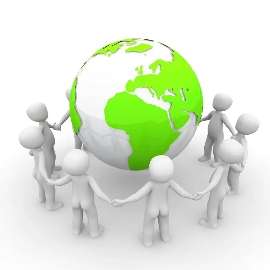 International Organizations (Reading Comprehension)