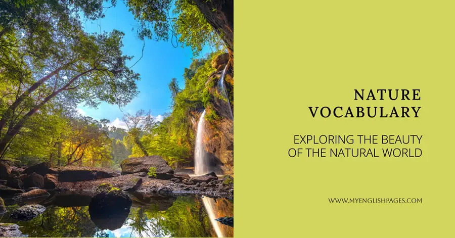 Nature Vocabulary Words