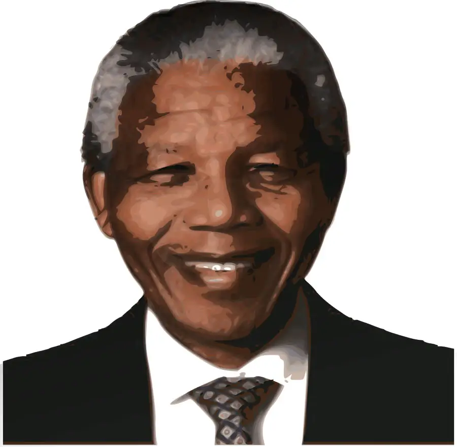 Nelson Mandela (Reading Comprehension)