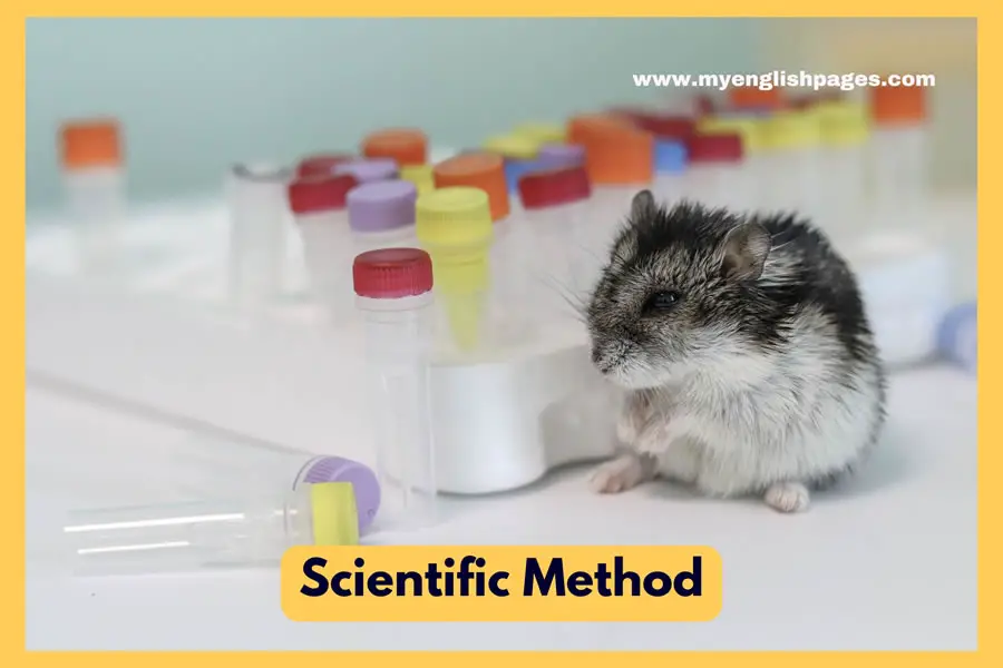 The scientific approach steps