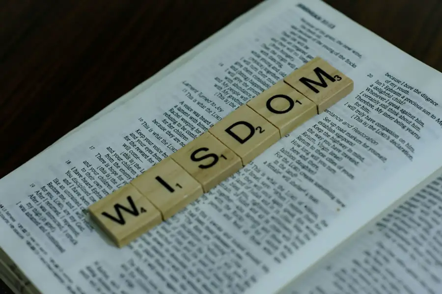 Wisdom Through Quotes by Famous Authors For English Learners