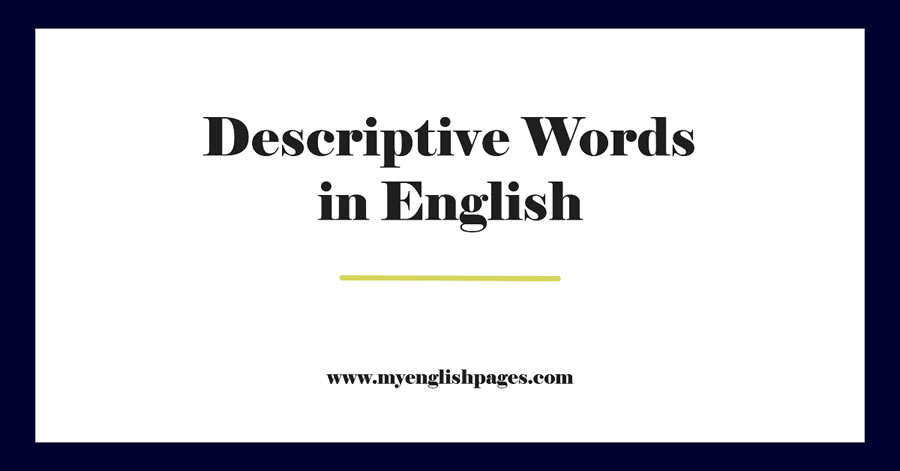 Descriptive Words About a Person