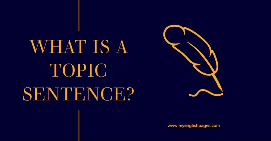 What is a Topic Sentence in a Paragraph?