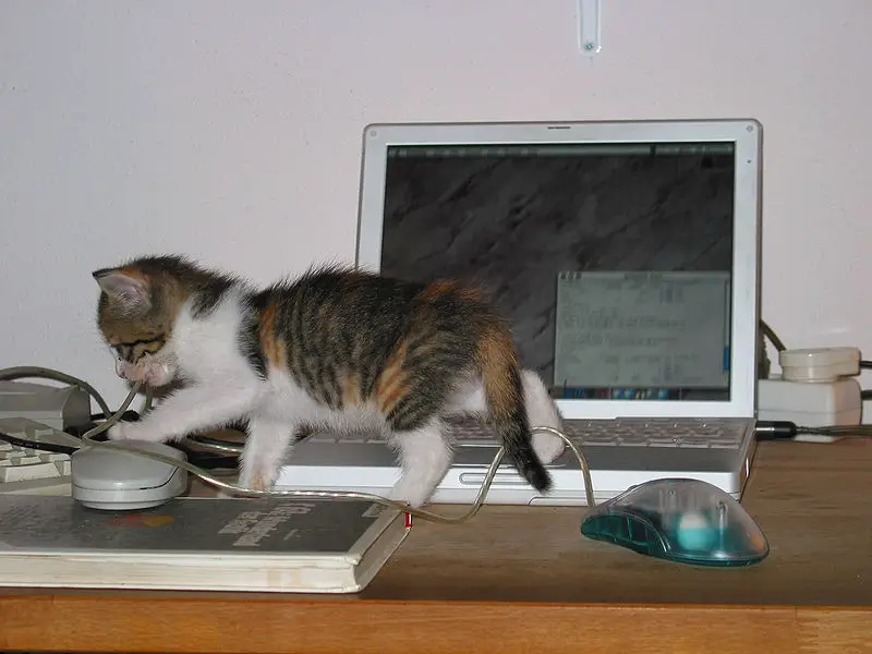 Computers