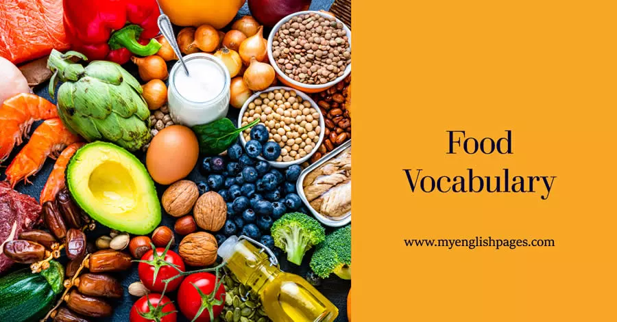 List of Food Vocabulary