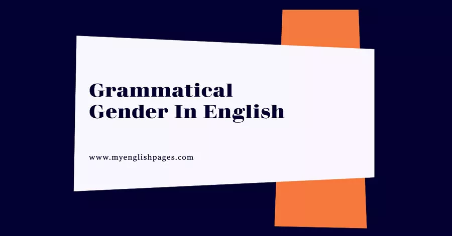 Masculine and feminine nouns